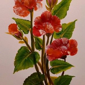 Meet your Posher, Usha